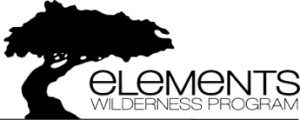 Elements Wilderness Program Logo